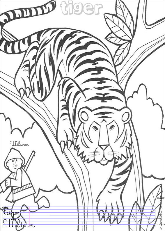 coloriage tigre 1